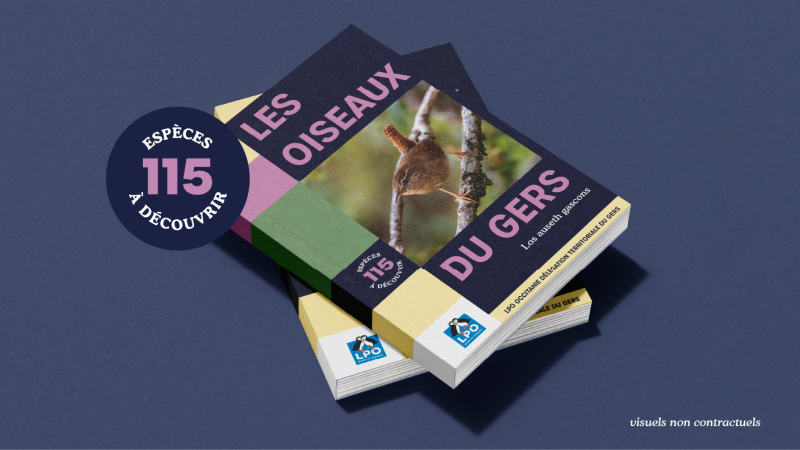 La LPO Gers lance un financement participatif pour publier le premier livre consacré aux oiseaux du département