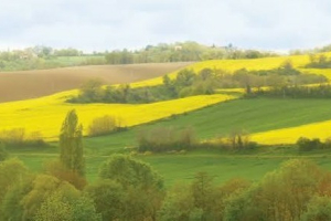 Que faire en Gascogne Toulousaine ce week-end ?