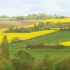 Communauté de Communes de la Gascogne Toulousaine : Que faire en Gascogne Toulousaine ce week-end ?