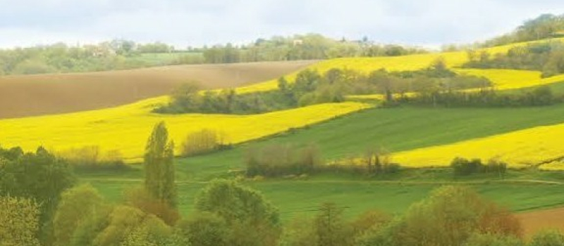 Que faire en Gascogne Toulousaine ce week-end ?