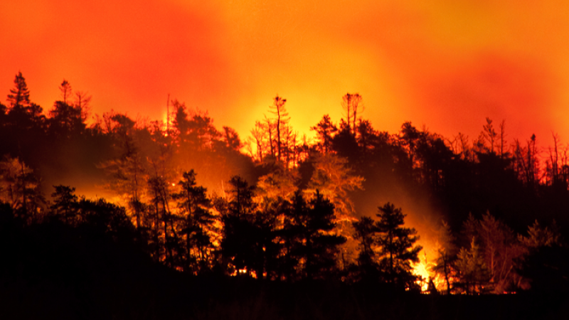 Renforcement des mesures de restriction des activités en forêt pour limiter le risque d’incendie
