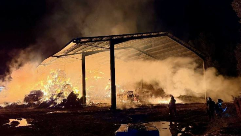 Un important incendie détruit un hangar et 300 m2 de végétation.