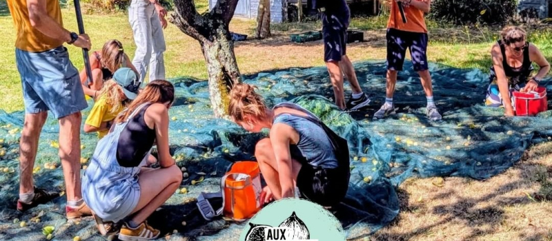 Quand on cueille à plusieurs, tout va plus vite…