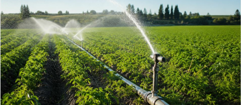 Front commun des Jeunes agriculteurs 31, 32, 47, 65 et 82 face aux mesures de restriction d'irrigation