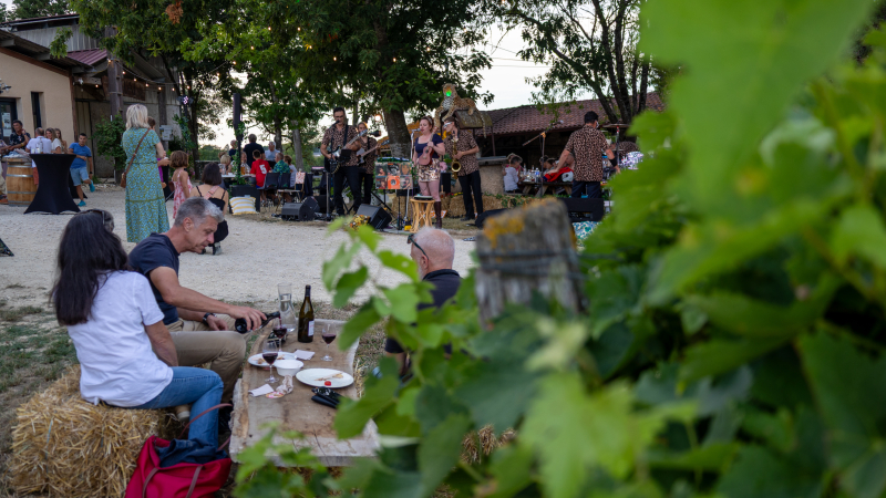 Au Domaine Le Broca, VineArt fait rimer vin, terroir et guinguette