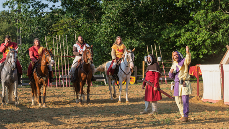 Festival médiéval de la Tour de Termes-d'Armagnac