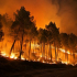 Incendies en Gironde : le Département du Gers lance un appel aux hébergements solidaires
